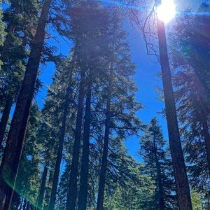 Meet your Posher, Rafaela